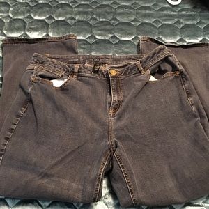 Lane Bryant Jeans